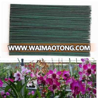 Wholesale bamboo stake poles for flower plant stick, plant support